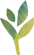 Geschilderd plantje, kunstwerkje van een leerling